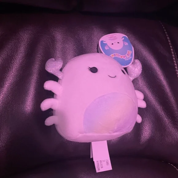 10 items - large squishmallows bundle, cow bird frogs & food and more - Picture 4 of 14